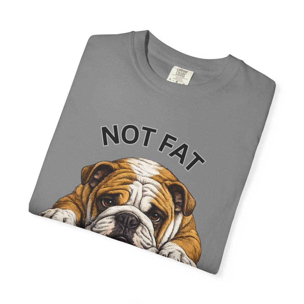 Not Fat Just Extra Bulldog T-Shirt | Bulldog Illustration, Funny Pet Shirt - TooEasy Gear