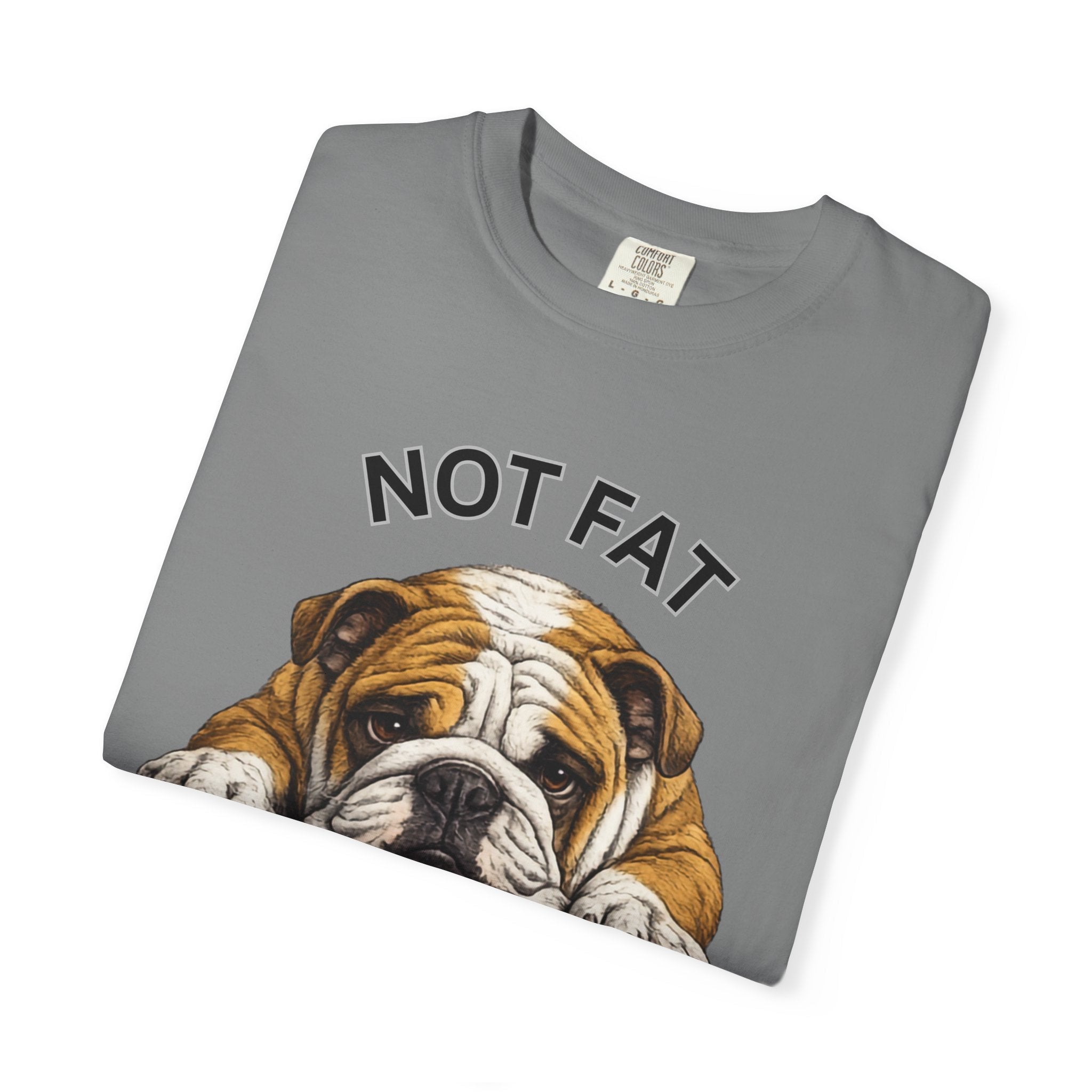 Not Fat Just Extra Bulldog T-Shirt | Bulldog Illustration, Funny Pet Shirt - TooEasy Gear